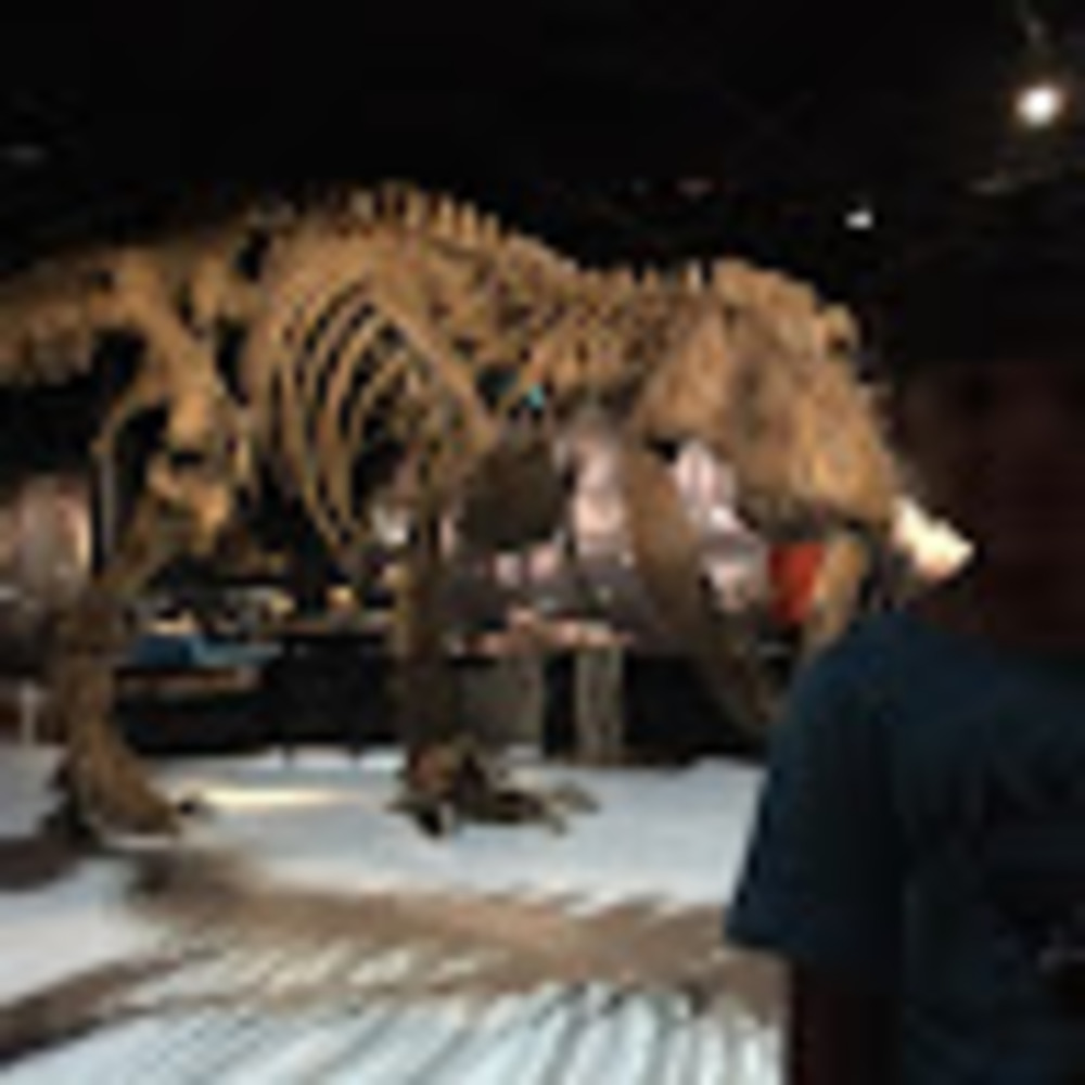 Meet your Posher, Model